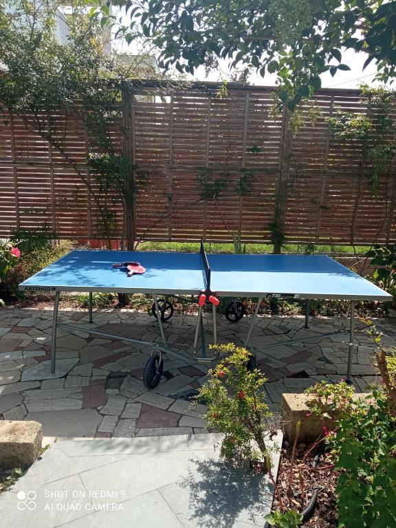 Stolní tenis v ubytování Casa Carmen nebo okolí