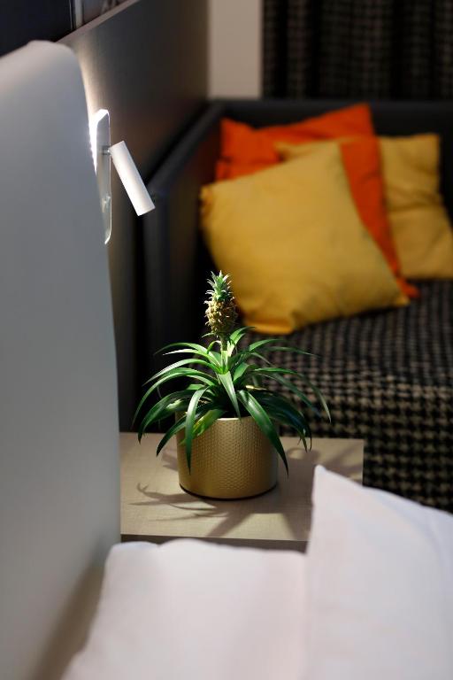 The Sydney Hotel - Resim 6