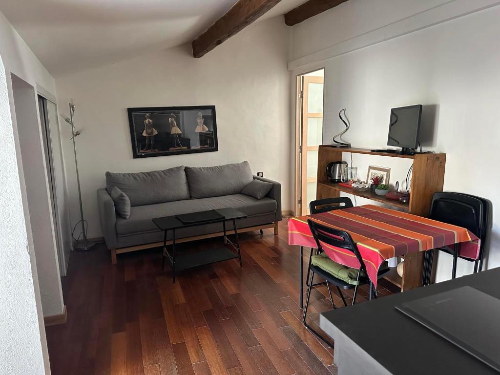 un salon avec un canapé et une table dans l'établissement Appartement de charme Intra Muros, à Avignon