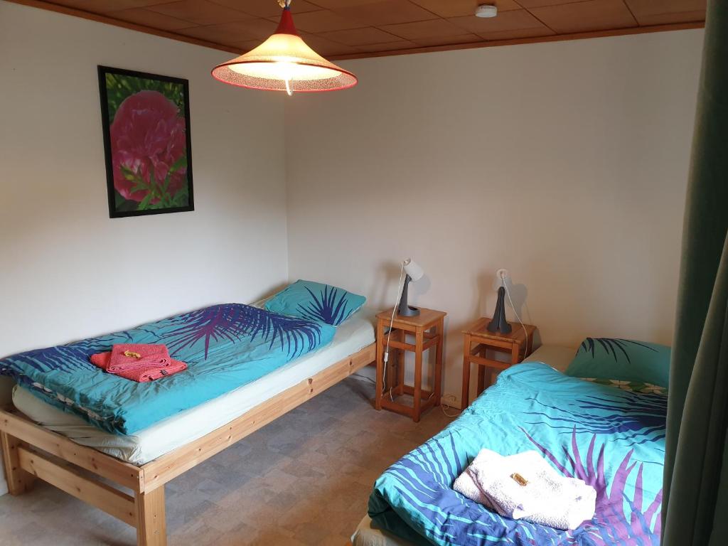 Grand appartement 6 personnes, surf, ski et randonnées - Resim 13