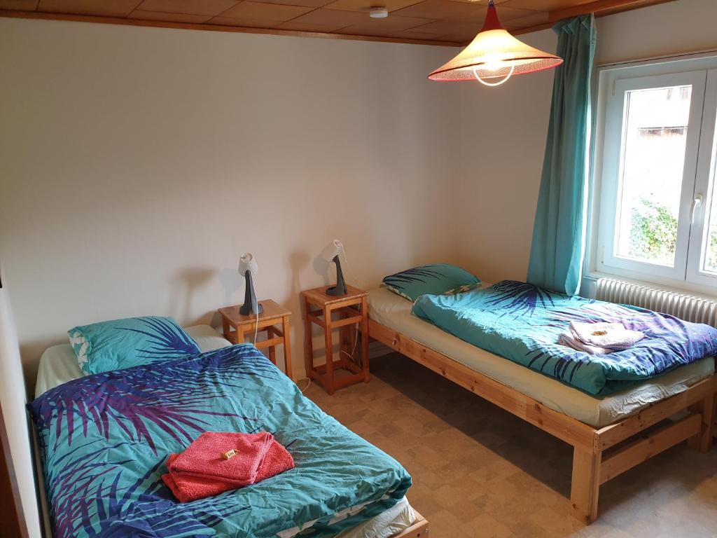 Grand appartement 6 personnes, surf, ski et randonnées - Resim 11