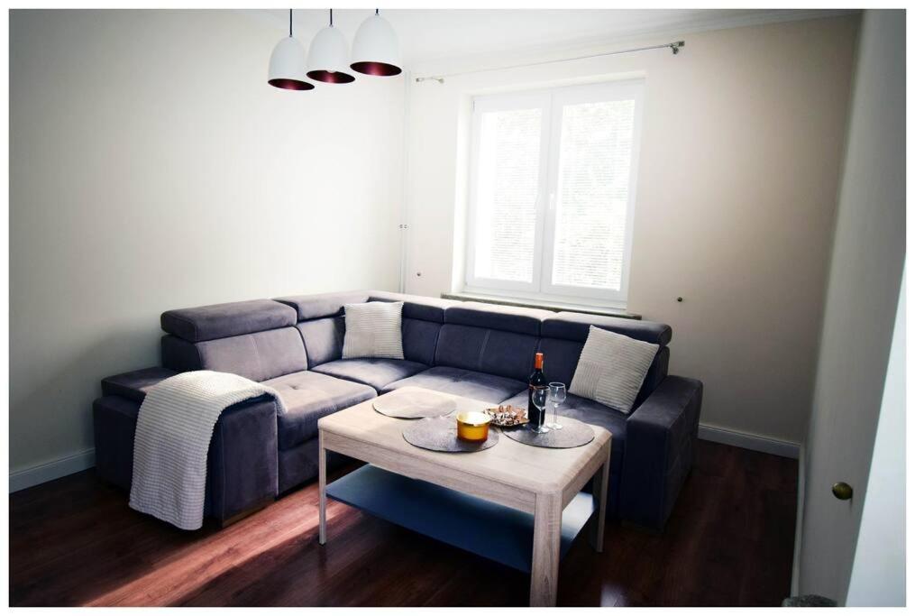 Posezení v ubytování Color 24 Apartament Relaks