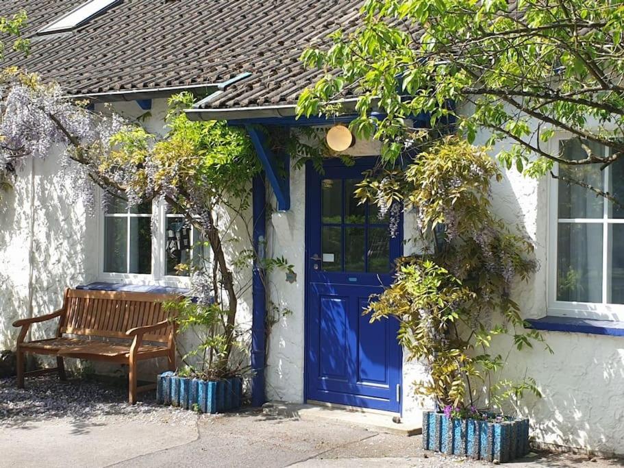 Zahrada ubytování Das blaue Haus allein für Dich!