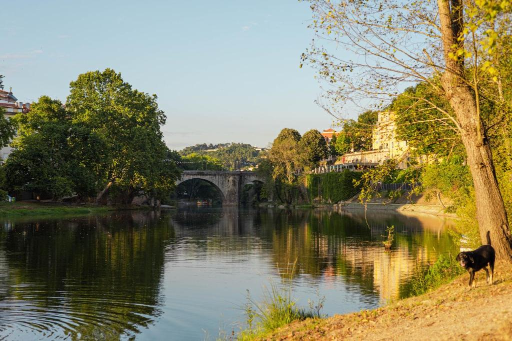 um cão ao lado de um rio com uma ponte em Hotel Navarras em Amarante