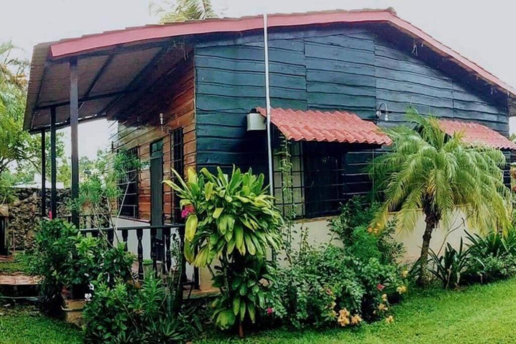 楚伊Luna Nueva Alojamiento en Chuy的一间蓝色的小房子,有红色的屋顶