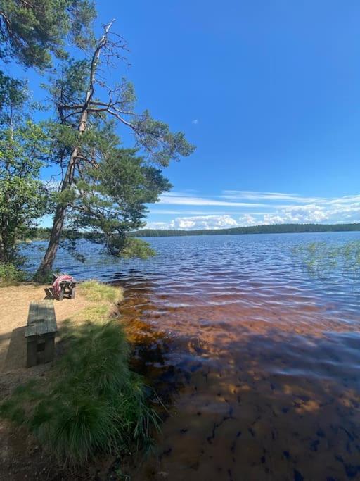 Příroda nedaleko prázdninového domu