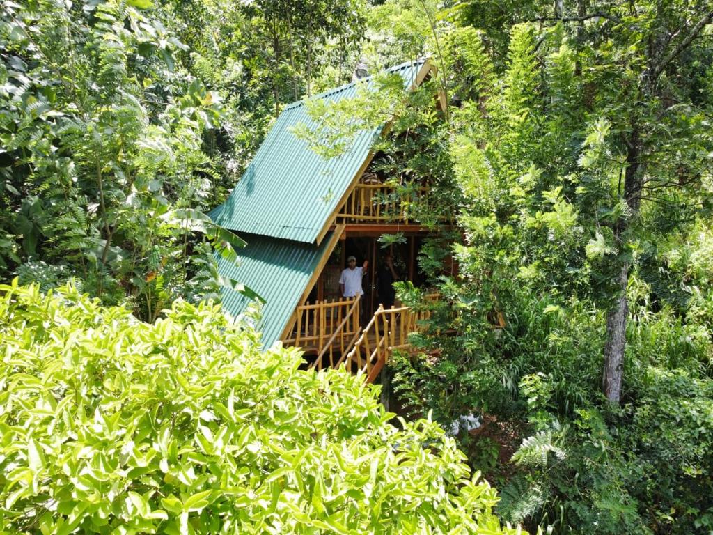 Zahrada ubytování Eco Village