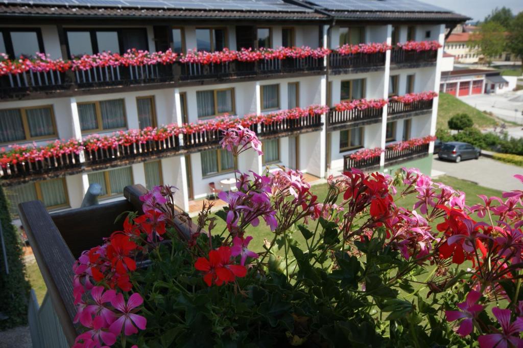 Zahrada ubytování Hotel Beinbauer