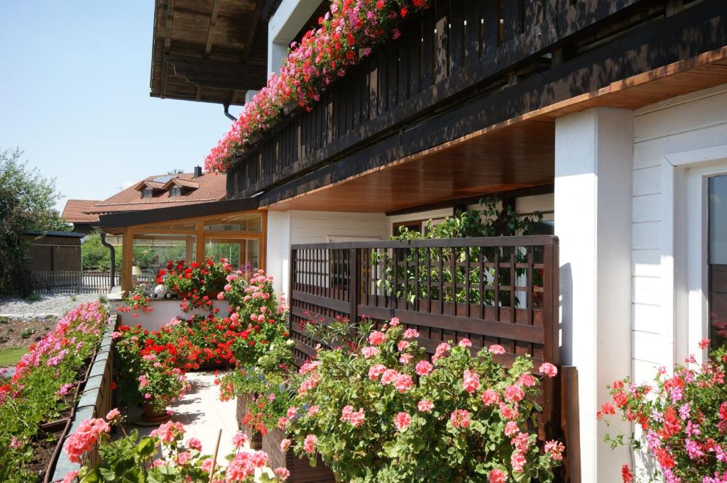 Zahrada ubytování Hotel Beinbauer