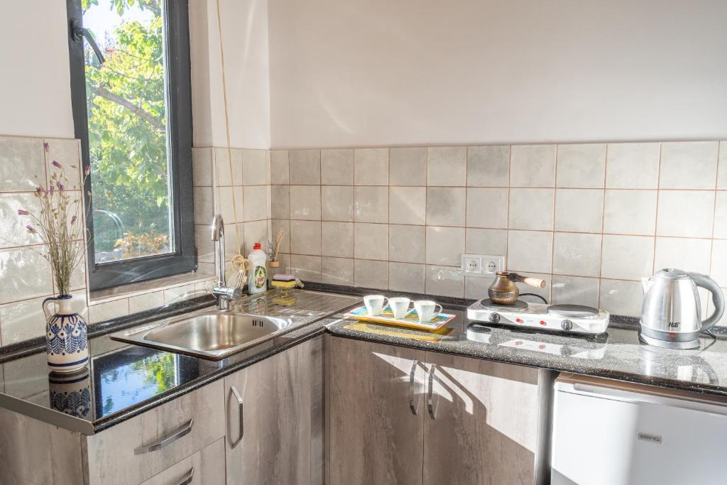 Kuchyň nebo kuchyňský kout v ubytování Art Rooms Garni B&B