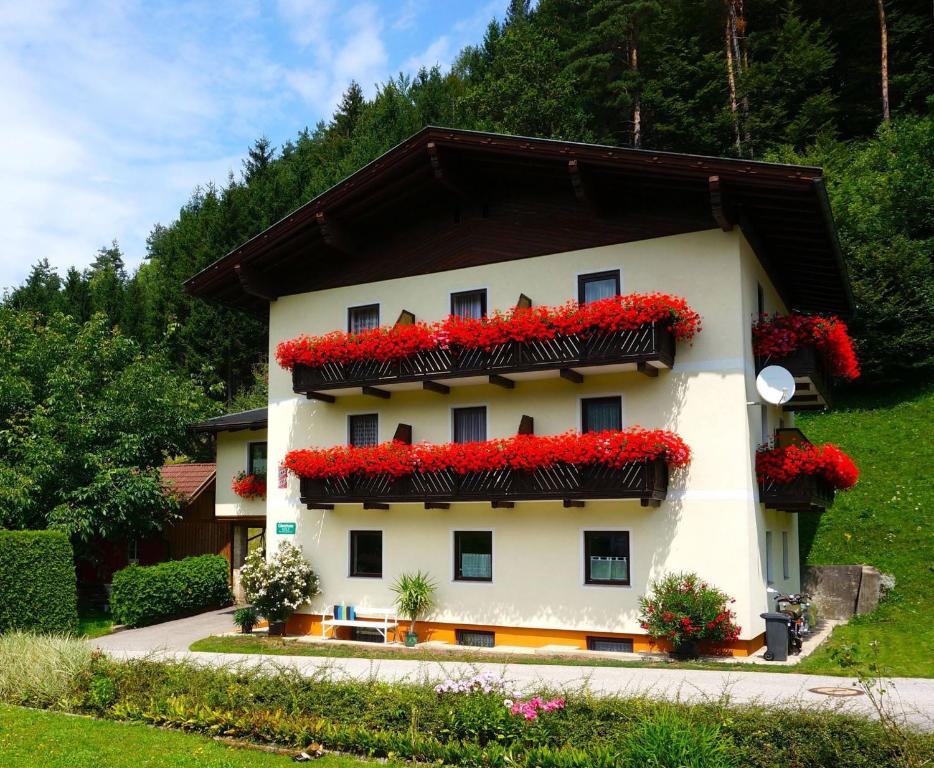 un edificio con flores rojas a un lado. en Haus Peter, en Latschach ober dem Faakersee