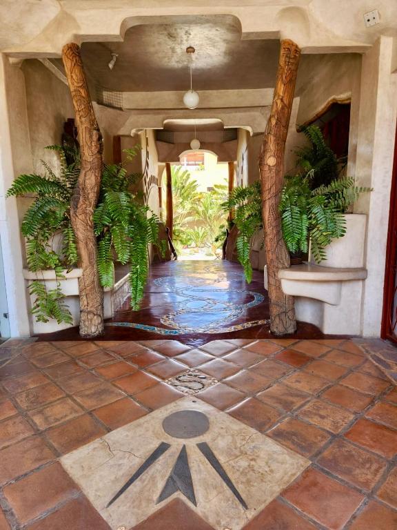 a hallway with palm trees and a tile floor at Alegria Suites Centro Historico in Todos Santos