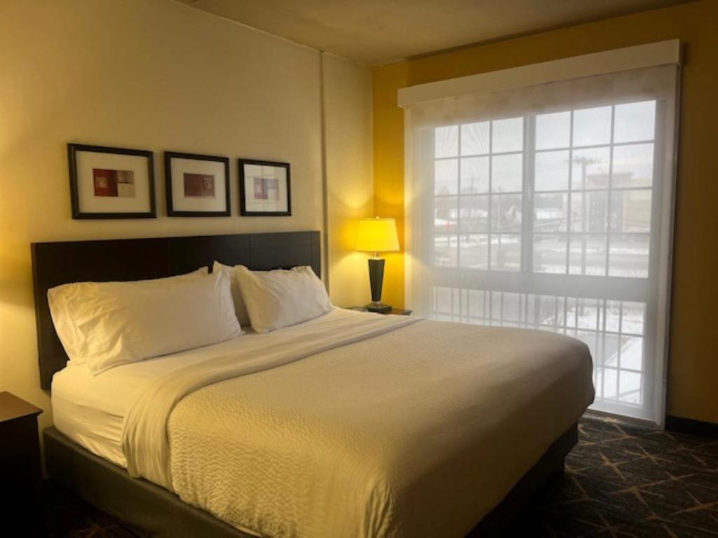 Holiday Inn & Suites Springfield - I-44 by IHG photo