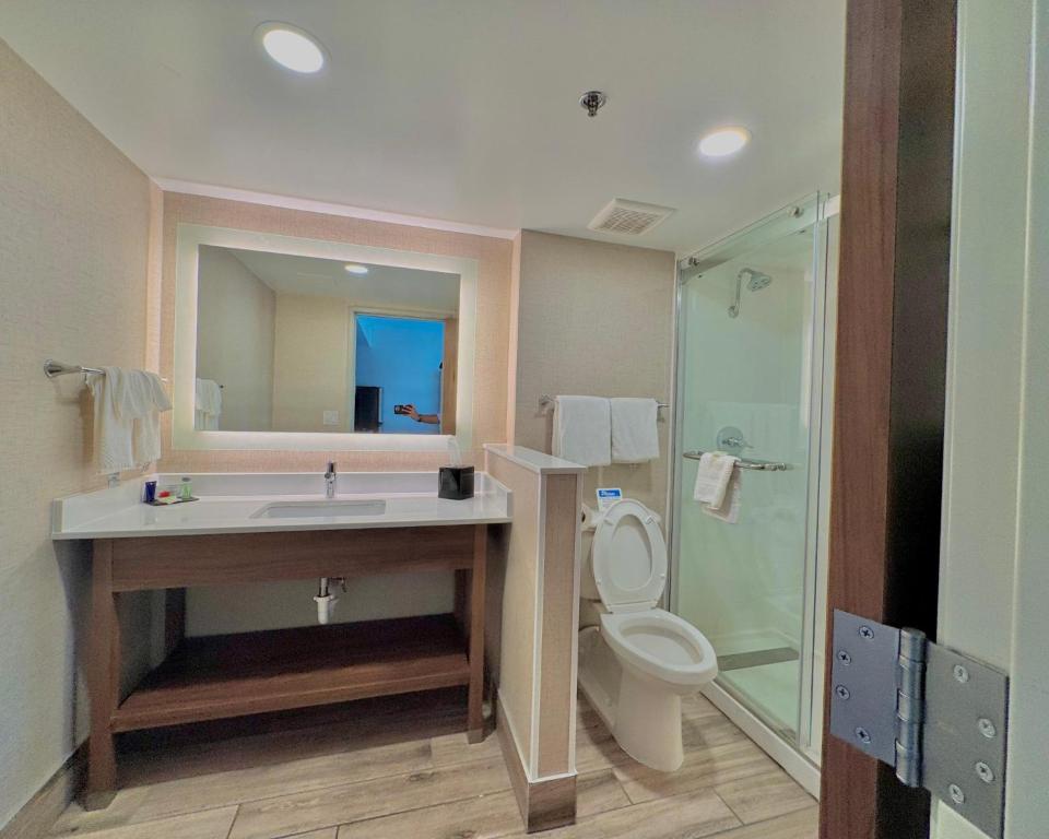 Sleep Inn Oakbrook Terrace - Chicago - 效率国王套房 - 非吸烟