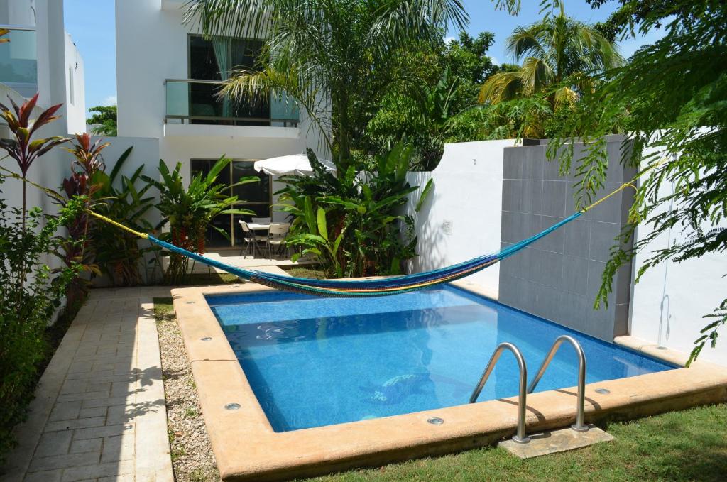 a swimming pool with a hammock next to a house at Casa Mango in Valladolid