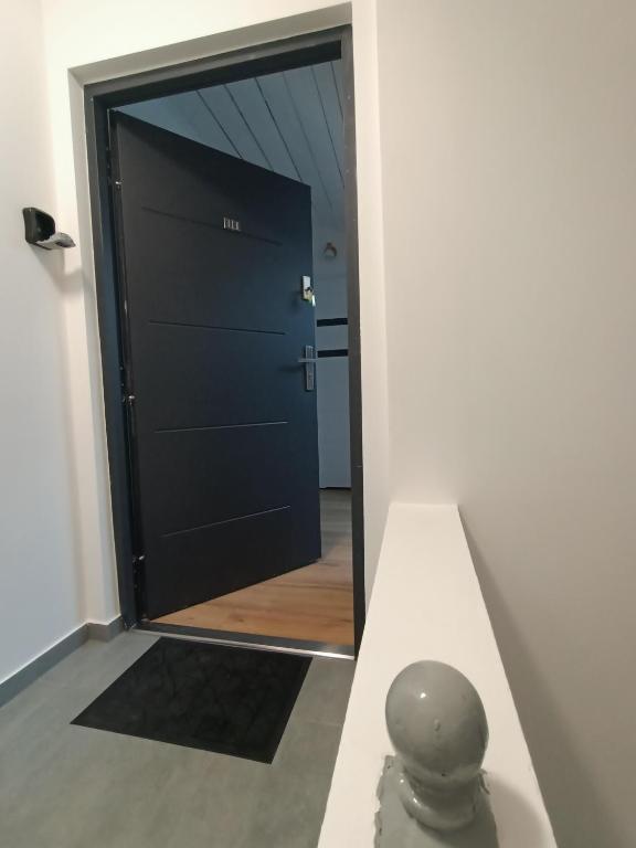 Royal EvitaBocelli Spodek by walk - 17