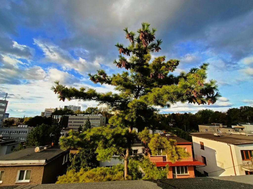 Royal EvitaBocelli Spodek by walk - 10