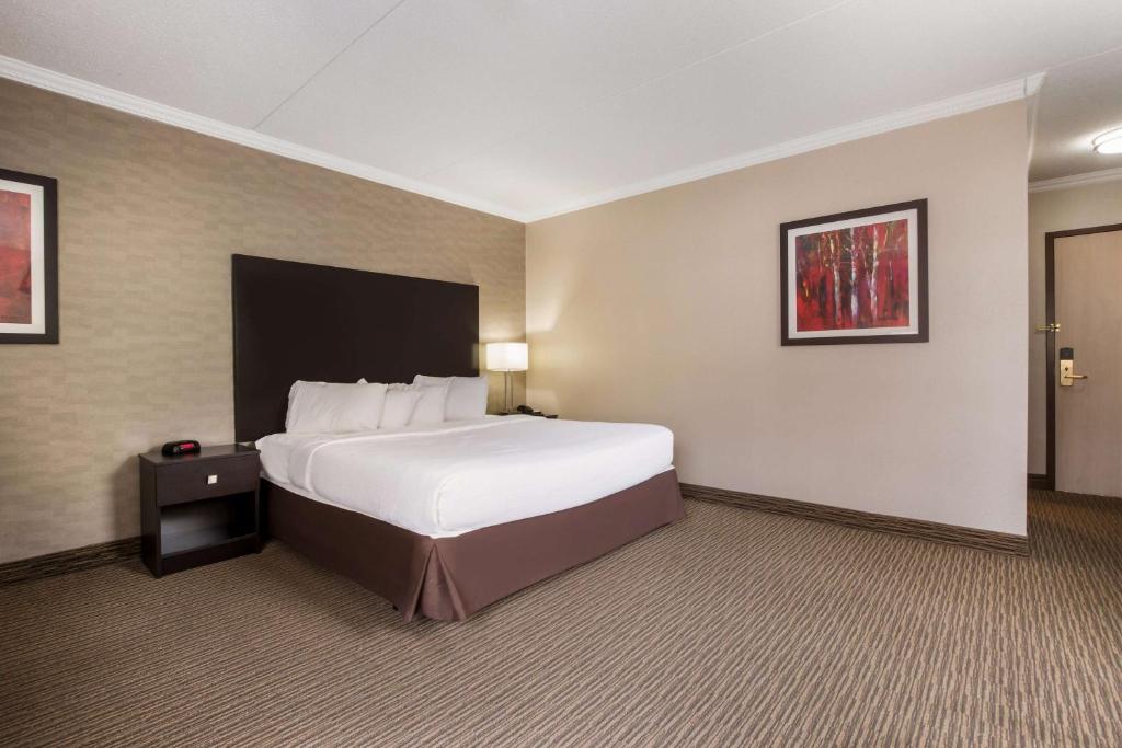 Best Western Little River Inn - Room King Con Sofá