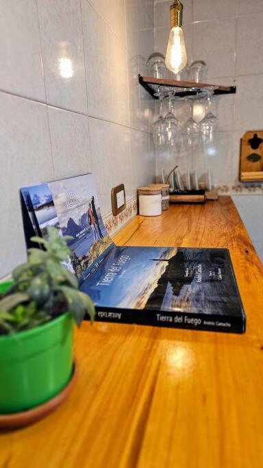 a table with a book and a potted plant on it at Ush in Ushuaia