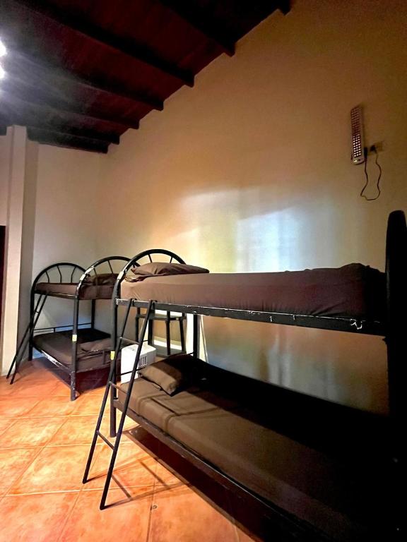 Posezení v ubytování Tamarindo Backpackers