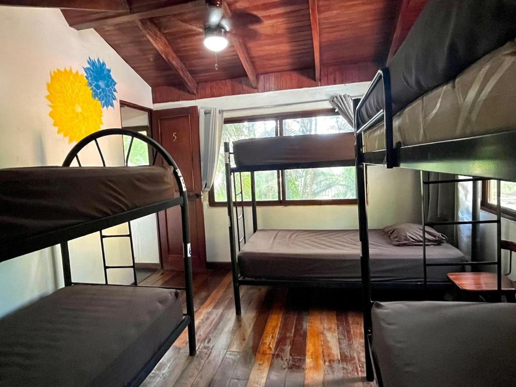 Postel nebo postele na pokoji v ubytování Tamarindo Backpackers