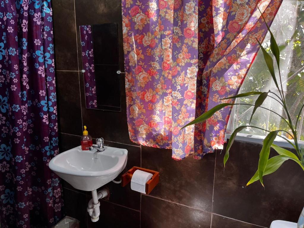 Hospedaje Arvakeni - Twin Room