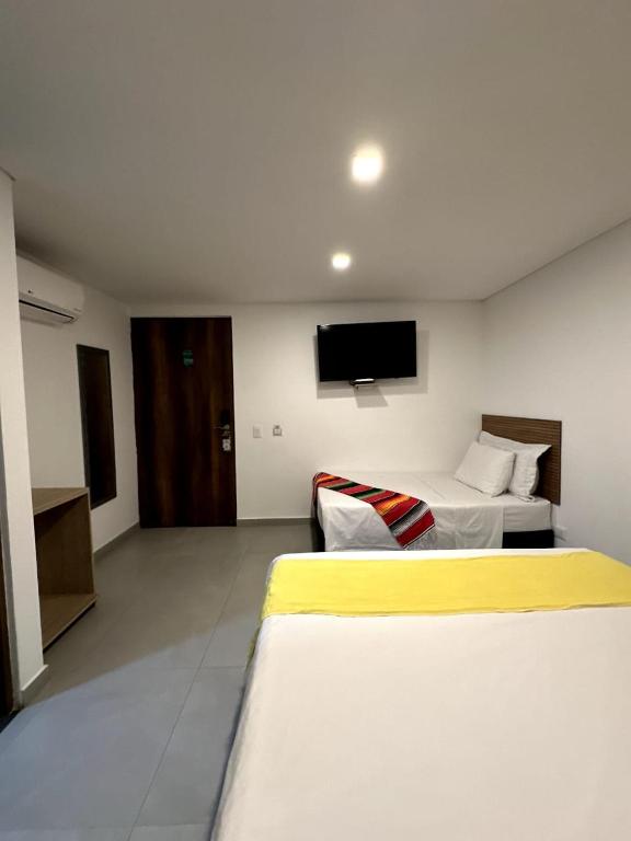 TV a/nebo společenská místnost v ubytování Hotel Zona Verde