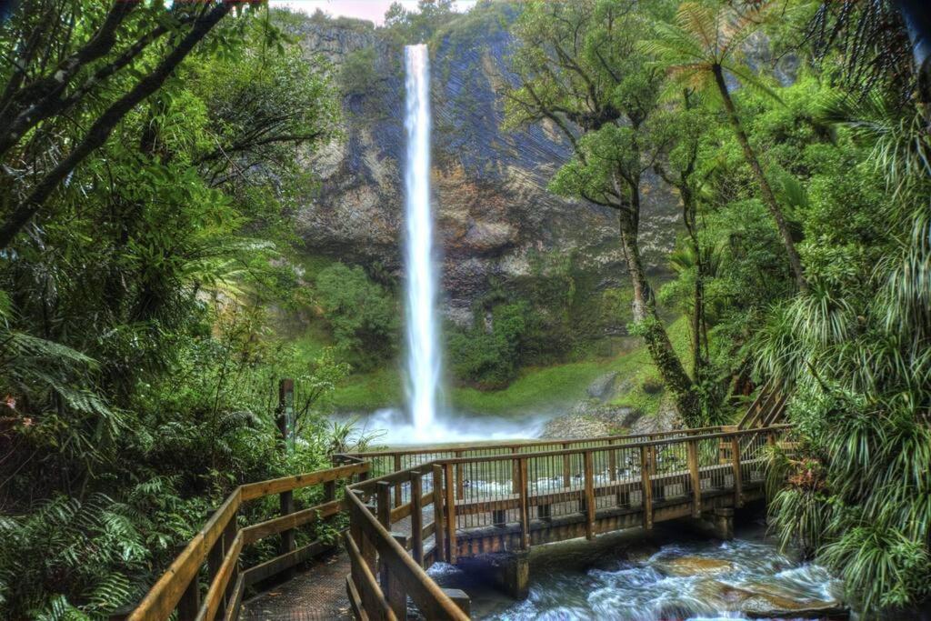 Wake up and Thrive - Resim 42