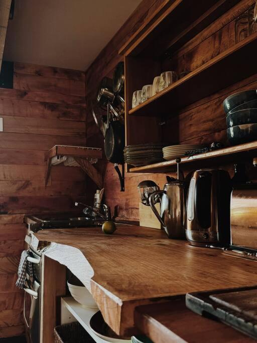 Wake up and Thrive - Resim 26