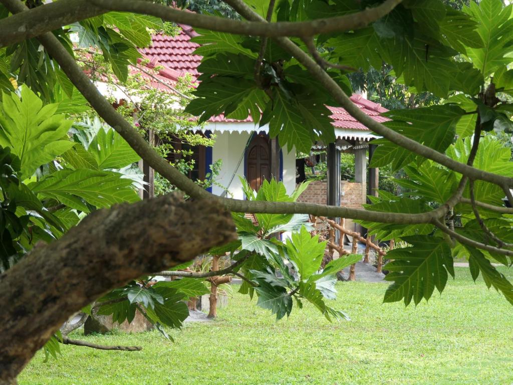 Zahrada ubytování Subodinee Bungalow