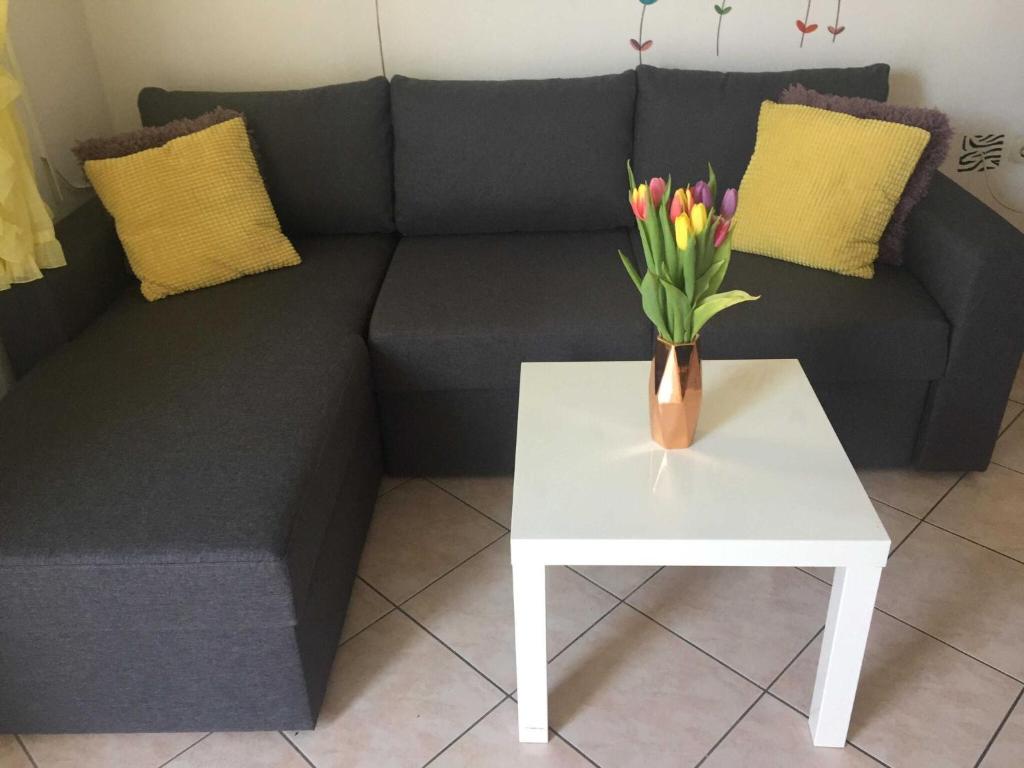 Apartments Roko ST - Economy One Bedroom Apartment with Shared Terrace A2