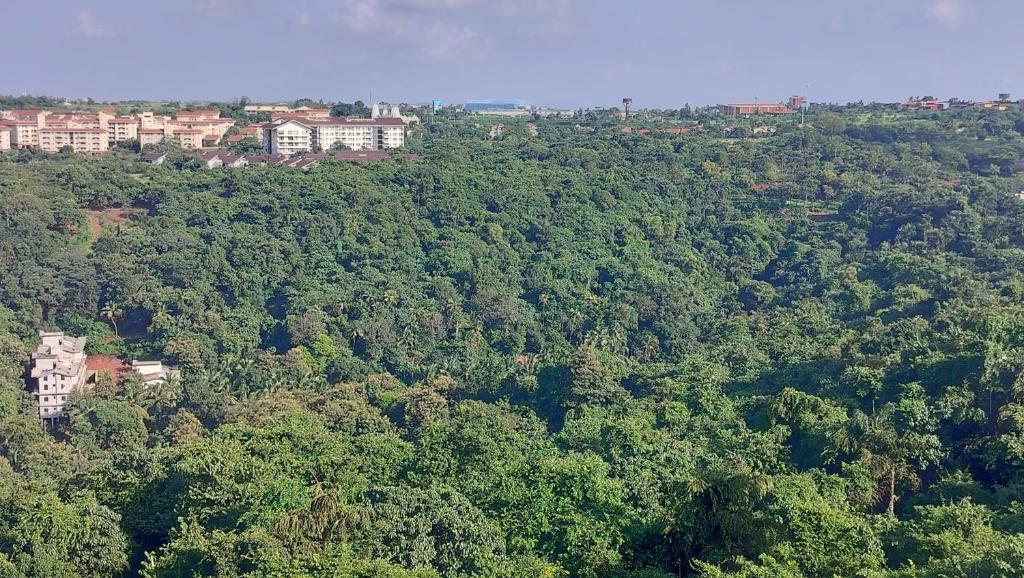 Příroda nedaleko apartmánu