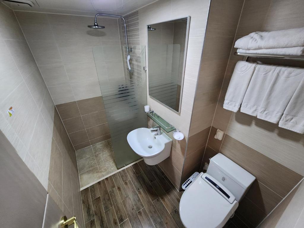 Koupelna v ubytování Hotel Haema