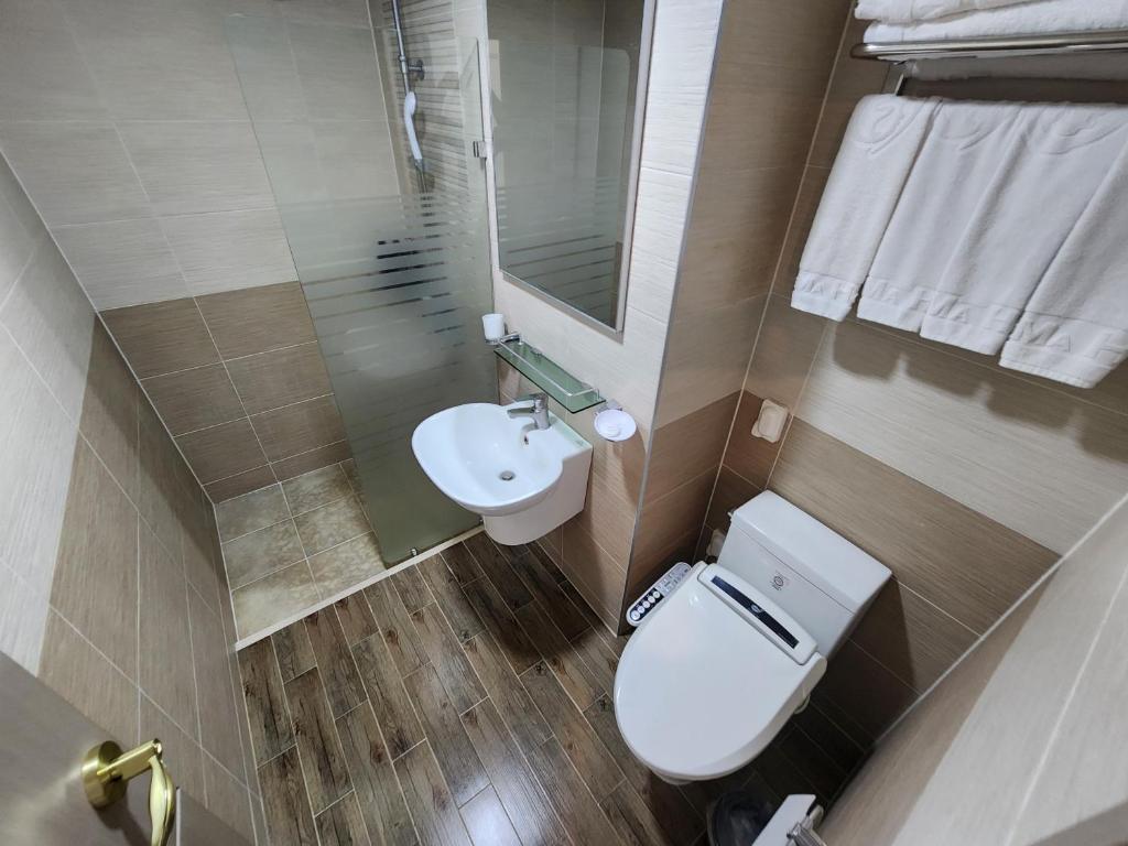 Koupelna v ubytování Hotel Haema