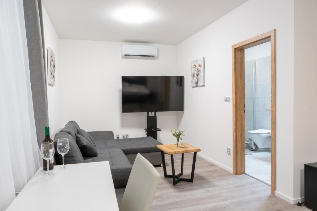 TV a/nebo společenská místnost v ubytování Apartmány LAGUNA
