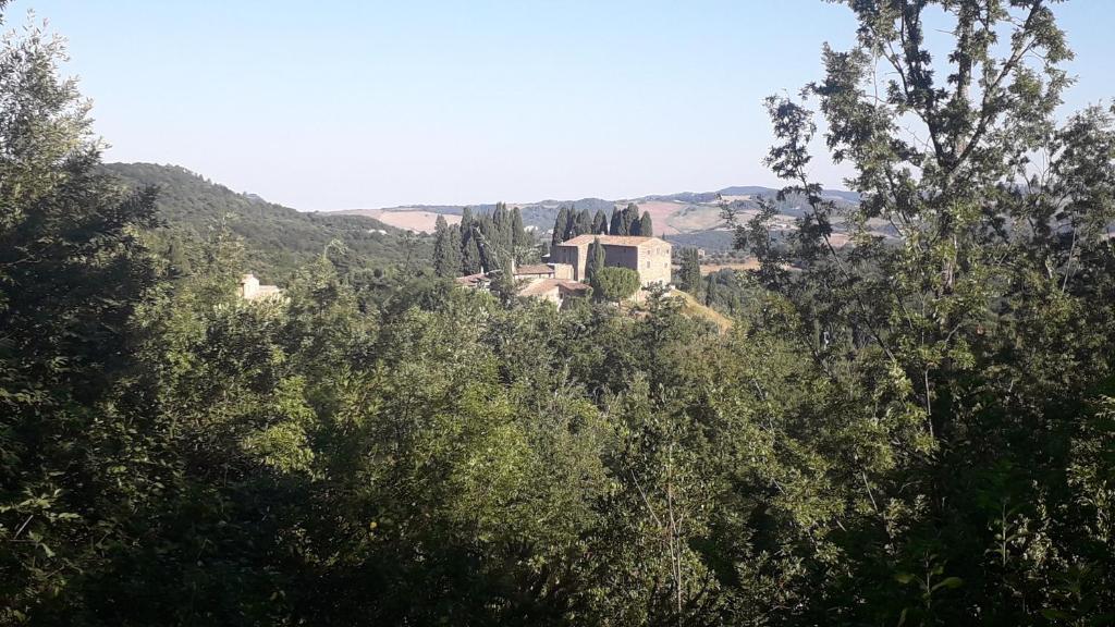 a house in the middle of a forest of trees at Casina di Adele apartment in Volterra