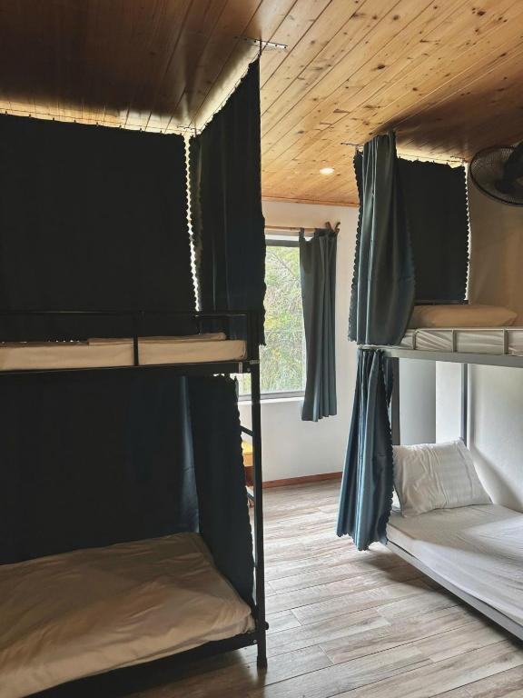 Eco by May5 Hotel - Forest & Sea View - 14