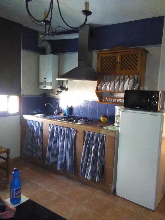 Kuchyň nebo kuchyňský kout v ubytování Pensión y apartamentos El Taxi