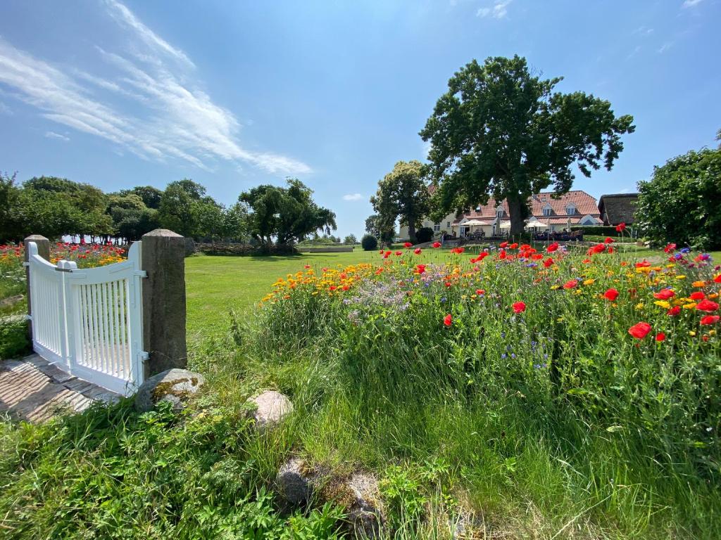 a white fence in a field of flowers at Gl. Avernæs Sinatur Hotel & Konference in Ebberup
