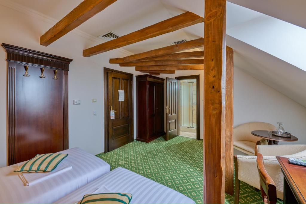 Hotel Classico Timisoara - Resim 38