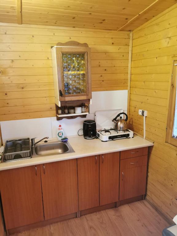 Kuchyňa alebo kuchynka v ubytovaní Domki drewniane alpejskie