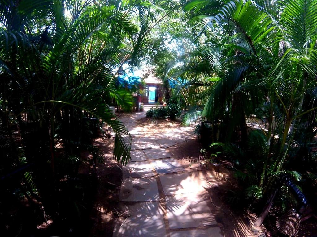 Zahrada ubytování Patnem Palm Garden by LePetit