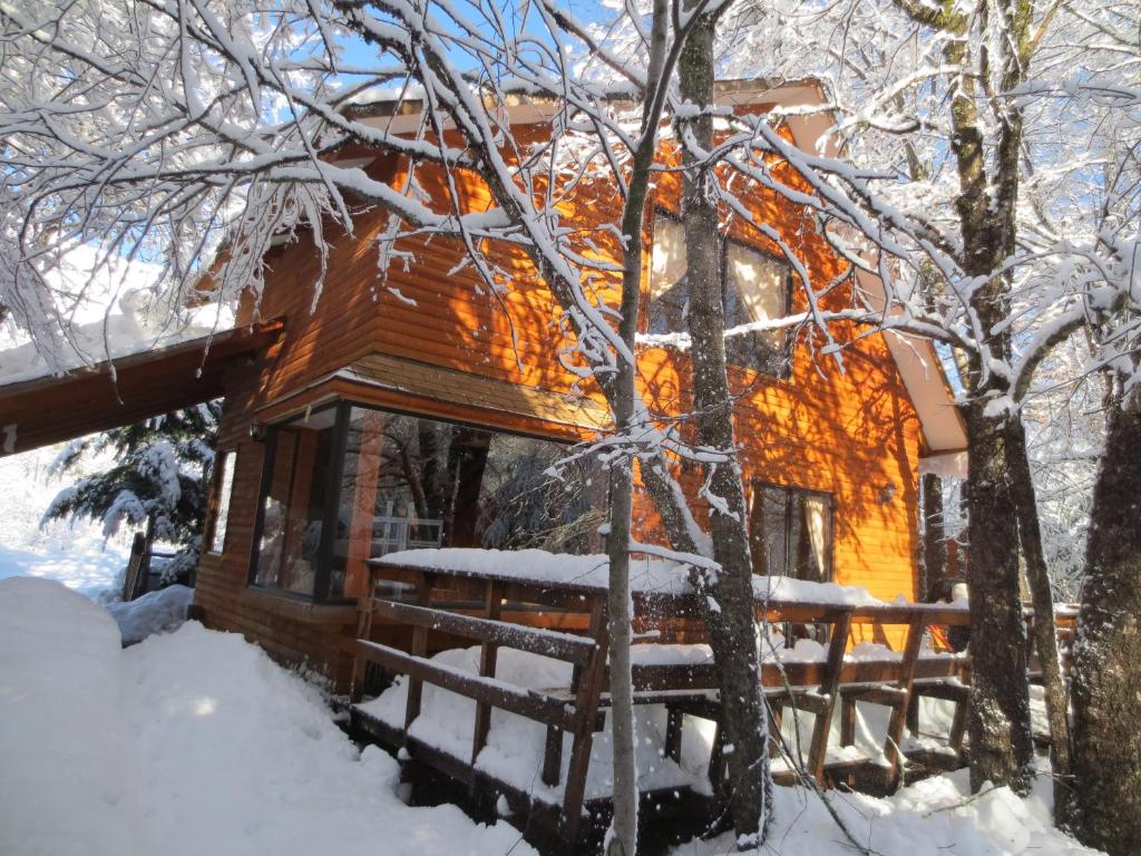 a cabin in the woods in the snow at Cabañas Bordenieve in Las Trancas