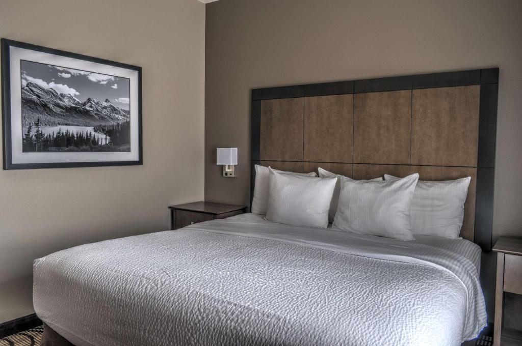 Best Western Plus Kalispell/Glacier Park West Hotel & Suites photo