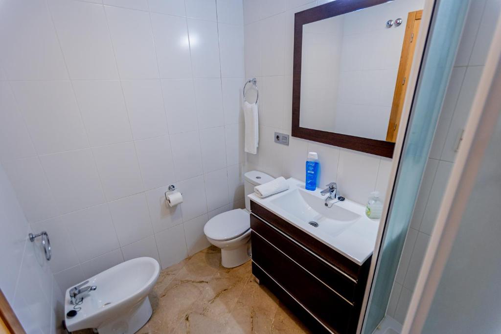 Koupelna v ubytování Apartamentos Aixa II