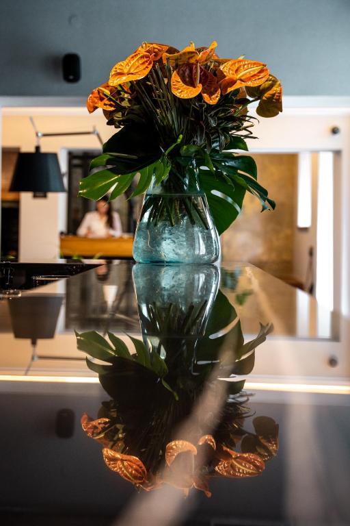 Tiszavirág Szeged - Resim 19