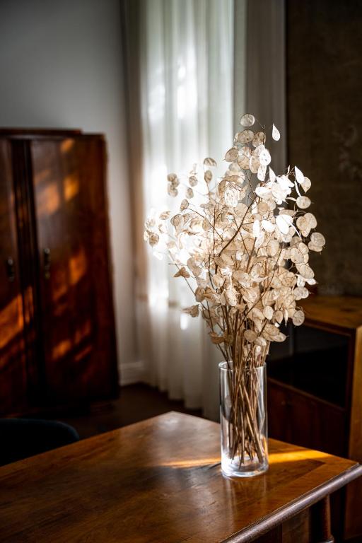 Tiszavirág Szeged - Resim 27