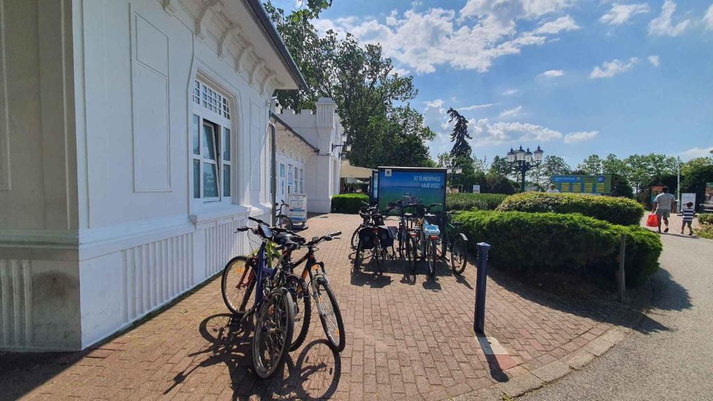 Jazda na bicykli v okolí ubytovania Apartment Balatonföldvar - Balaton 18521