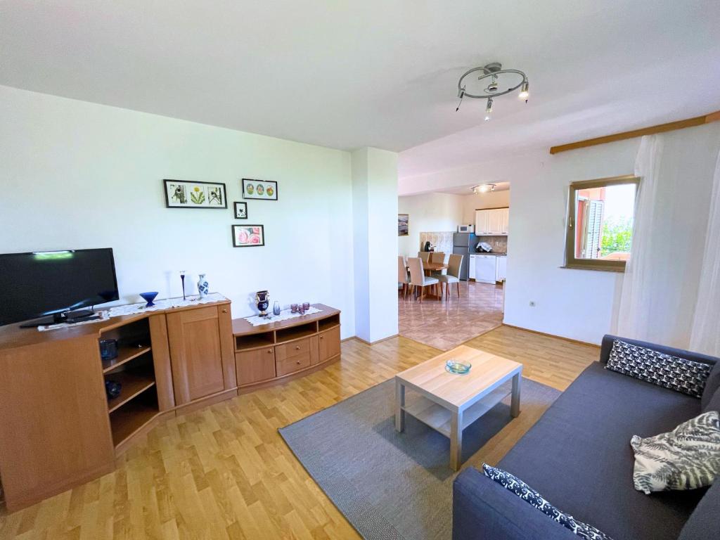 salon z kanapą i telewizorem z płaskim ekranem w obiekcie Apartments Irini w mieście Nijvice