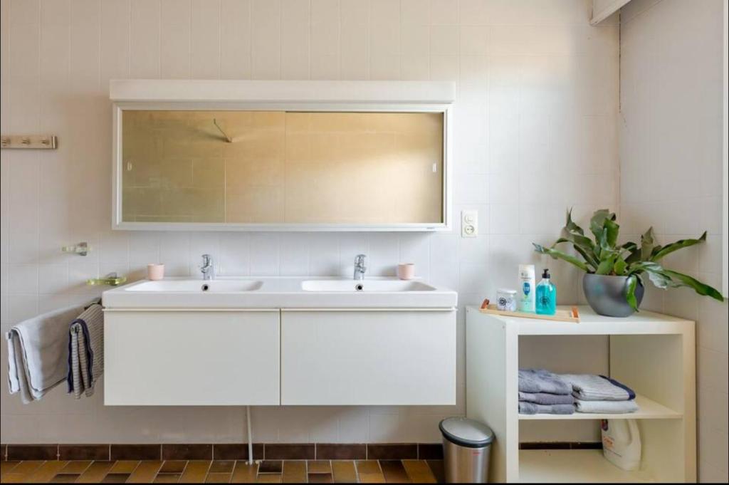 Koupelna v ubytování Appartement224